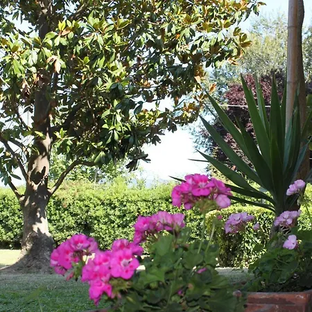 La Casa Noce Villa Pietrasanta